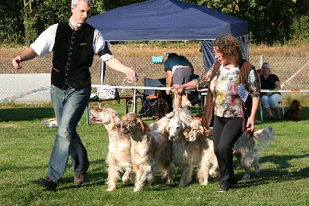 Zuchtgruppe Guldegg in Forst