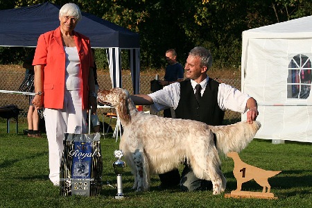 Rodney BEST IN SHOW - Forst 2011